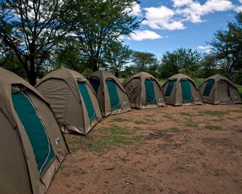 Tarangile National Park