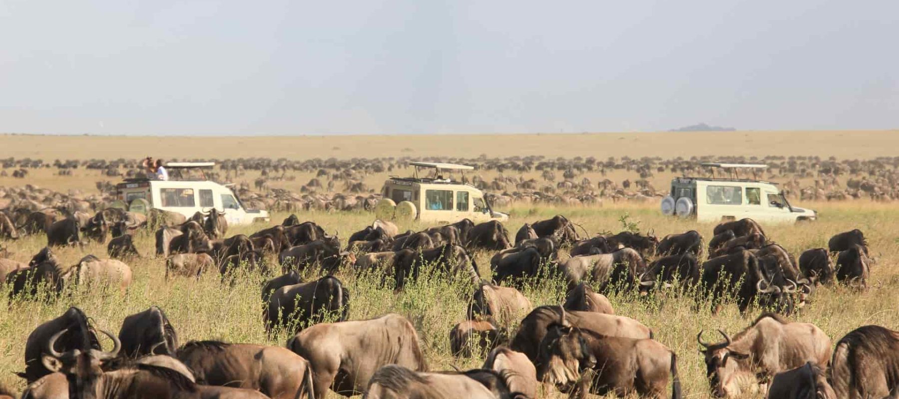 Nyerere National Park