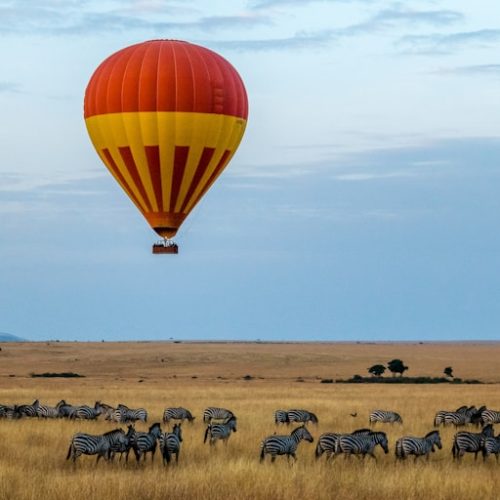 safari tanzania