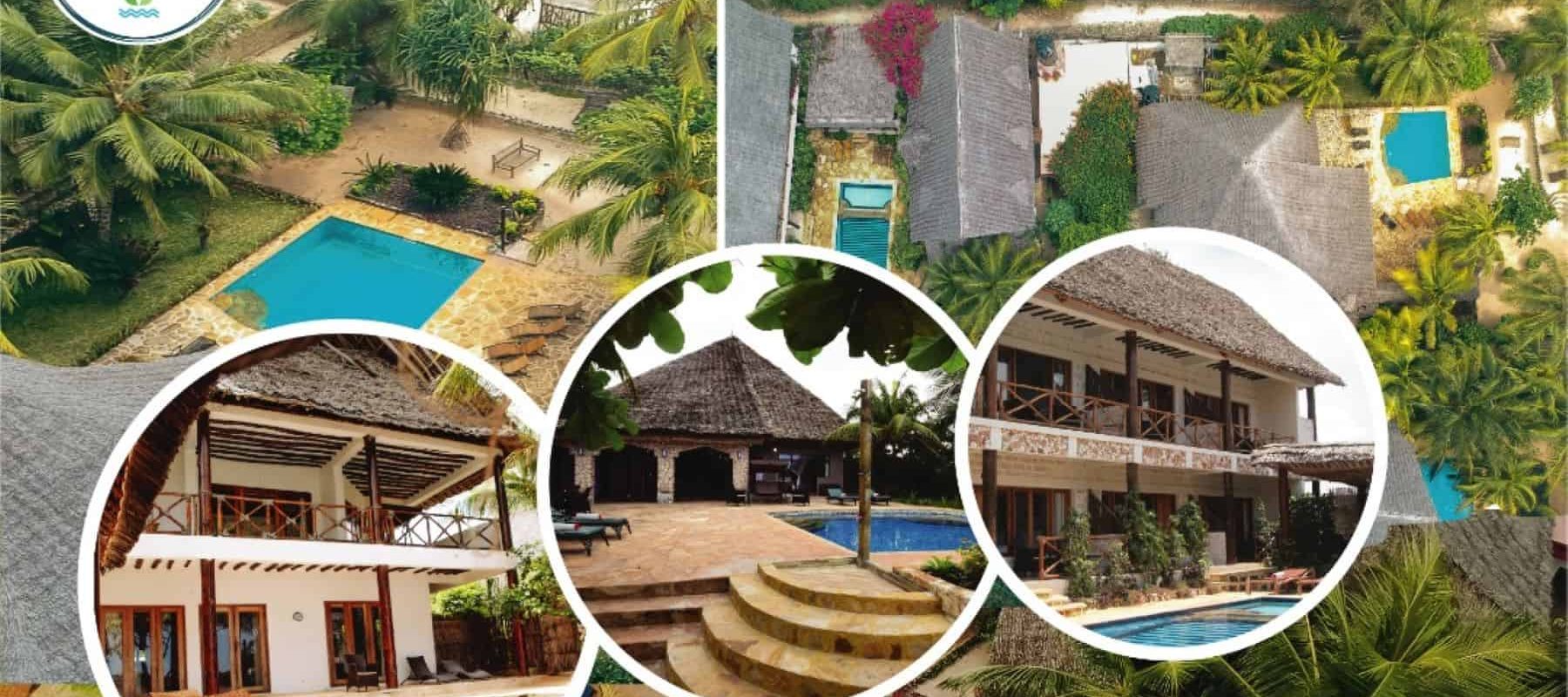 safaris and tours safaris and tours